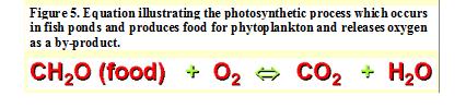 [water+factor.jpg]