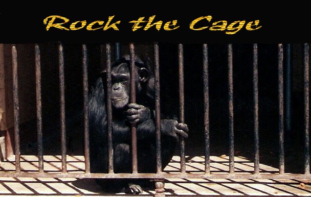 The Cage