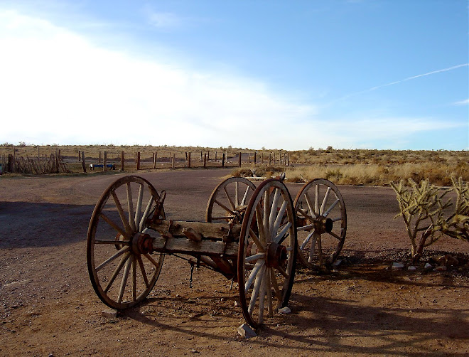 GRAND CANYON 8