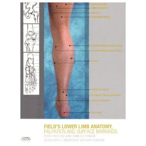 Lower Limb Anatomy, Palpation & Surface Markings ANATOMY+SURFACE+MARKINGS