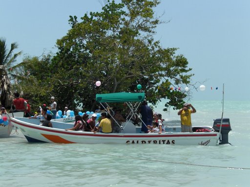 [CIMG0283.JPG]