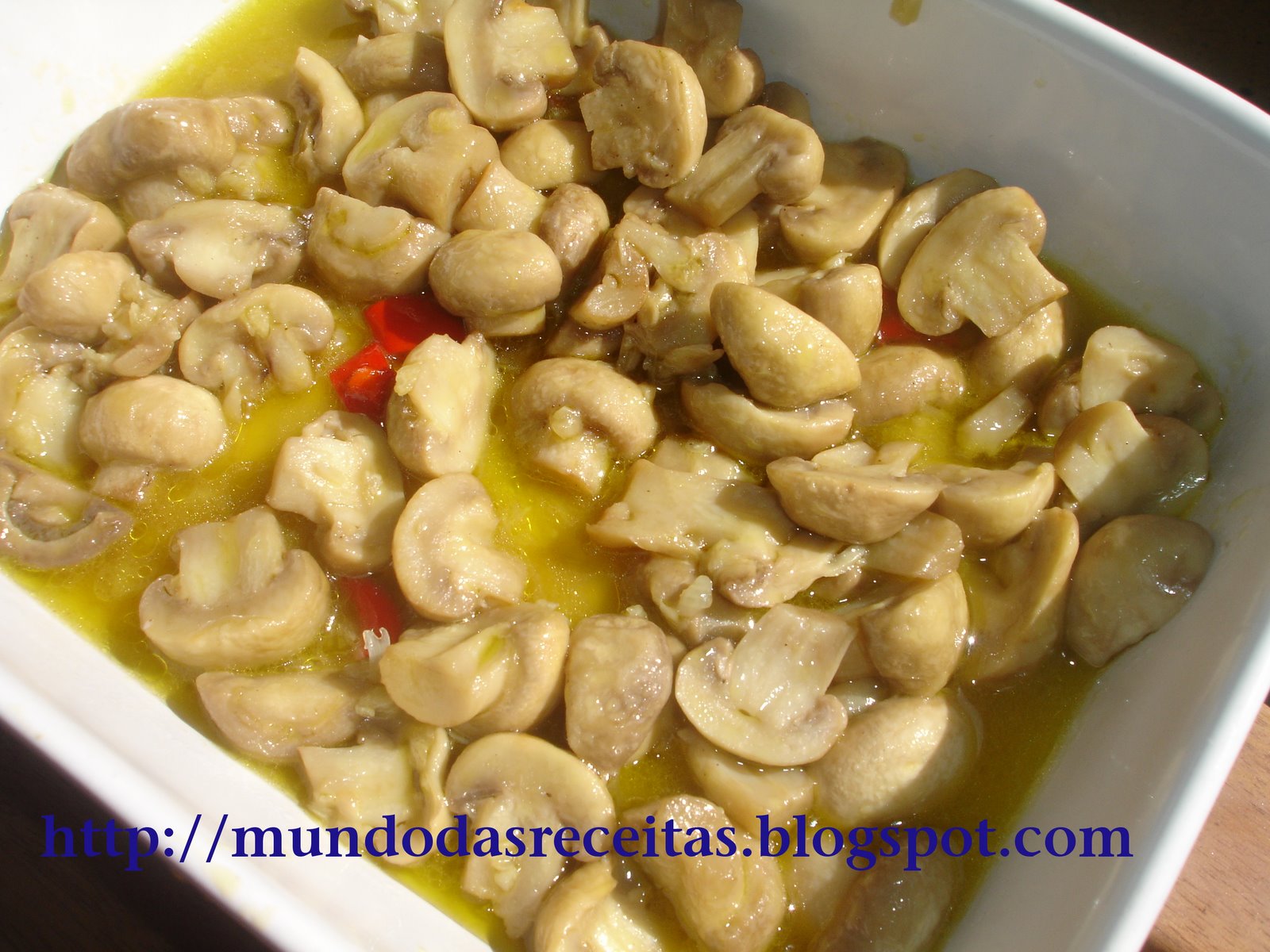 [cogumelosbimby.JPG]