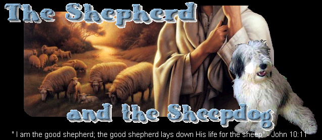 The Shepherd and the Sheepdog