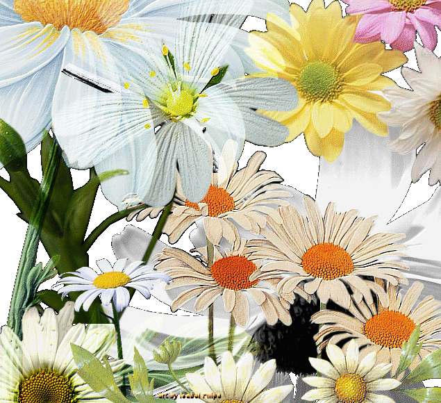 [flores.gif]