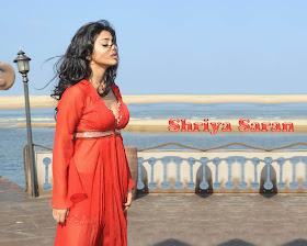 Bollywood actress Shriya Hottest Bollywood Actresses Wallpapers. Bollywood actress Shriya