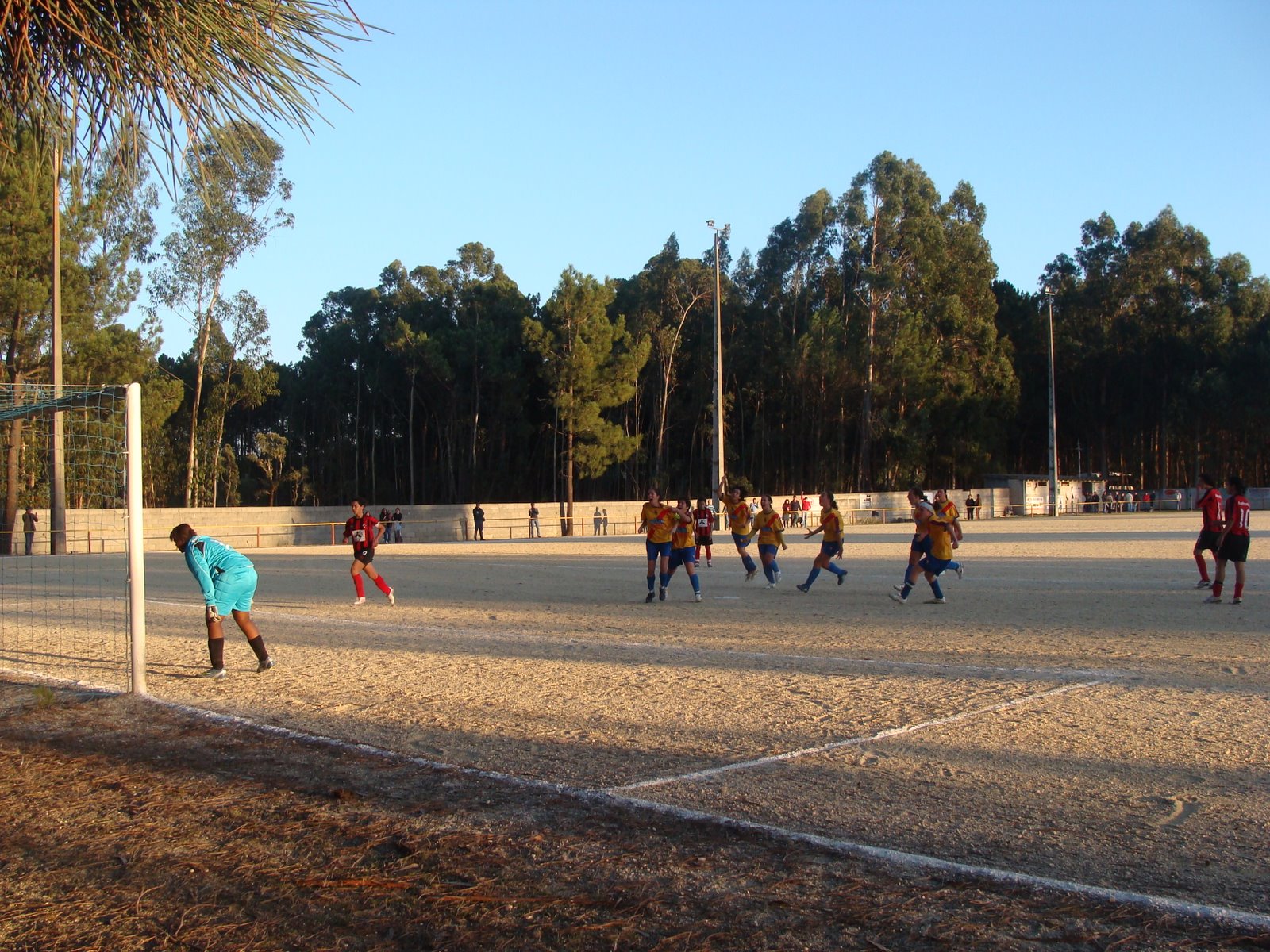 [DSC04460.JPG]