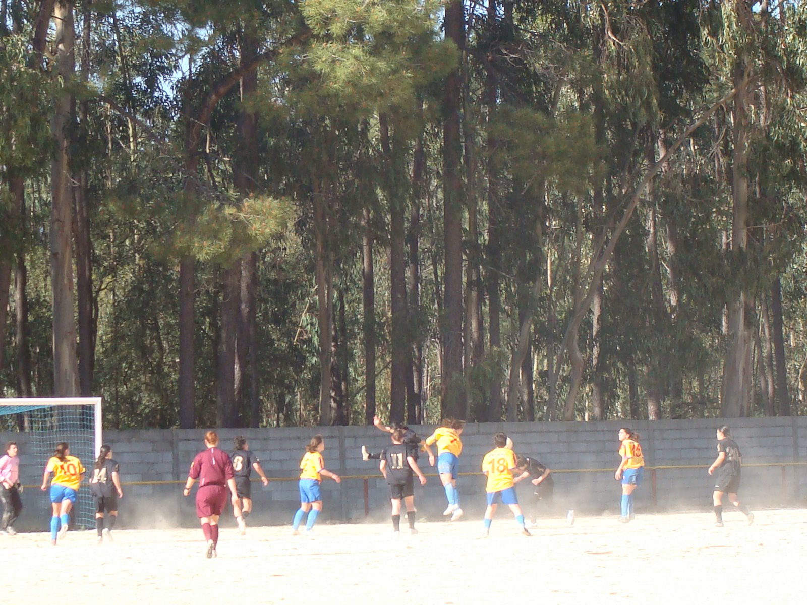 [DSC06940.JPG]