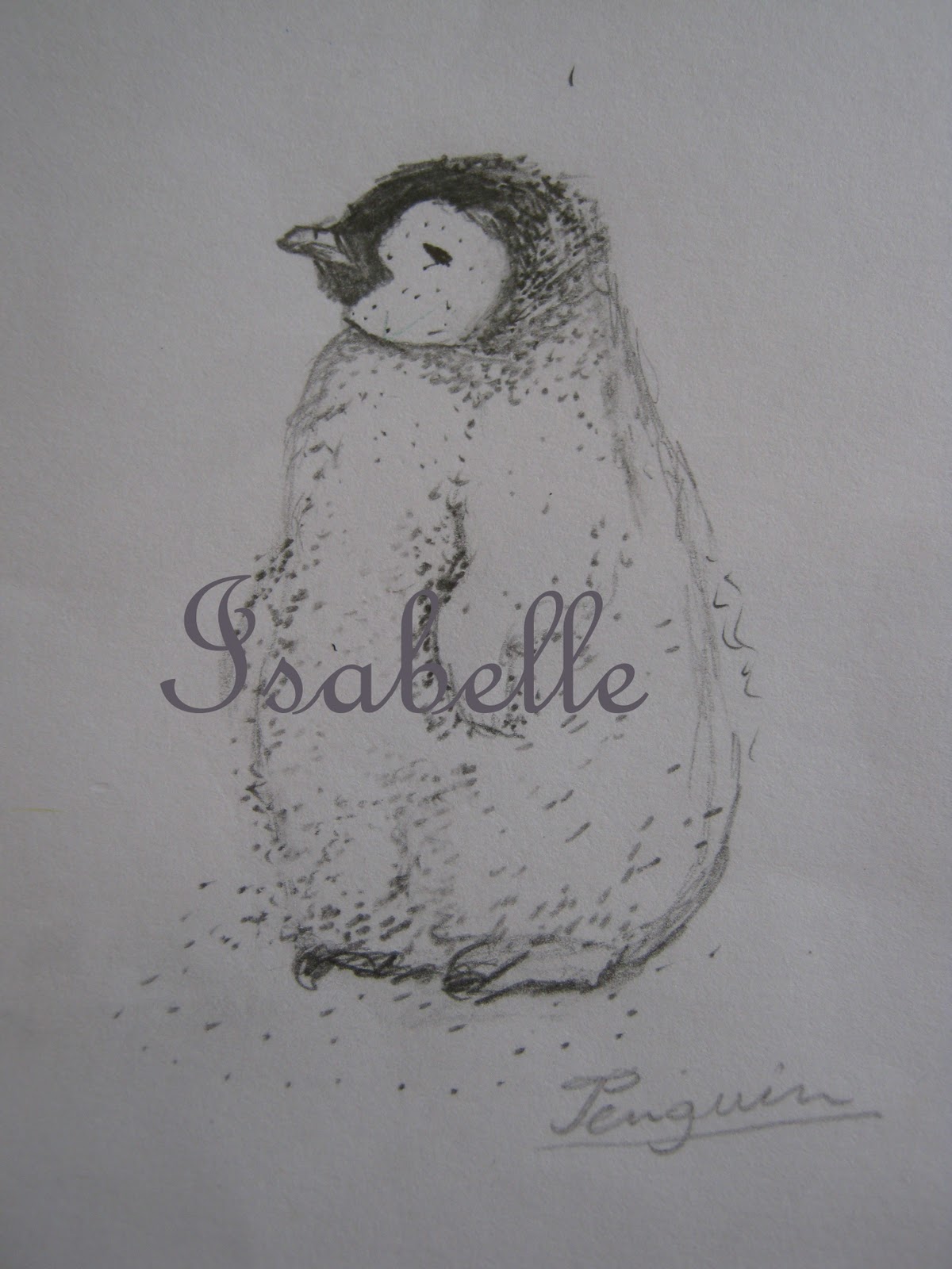 Isabelle Arts - 13 Year Old Child Prodigy: Animal Drawings