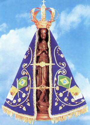 [ns_aparecida1.png]