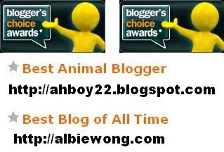[best+blogger+award+2.jpg]