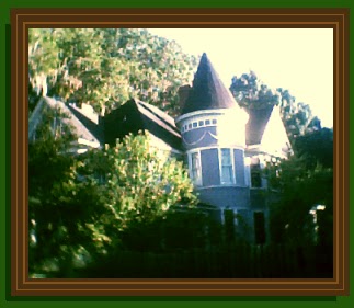 Florahome USA: November 2010