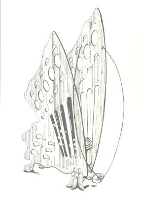 Illustration Pen