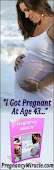 Pregnancy Miracle Information