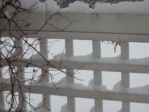 [D+snowy+fence.jpg]