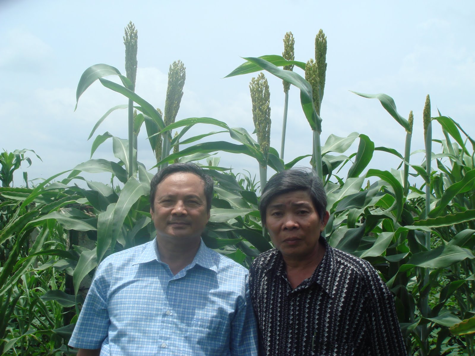 [DSC09709.JPG]