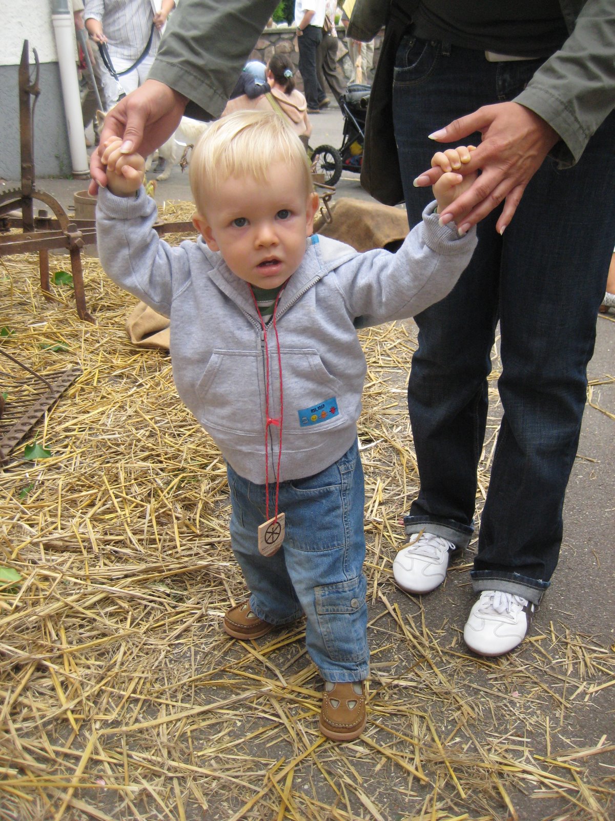 [IMG_0548.JPG]