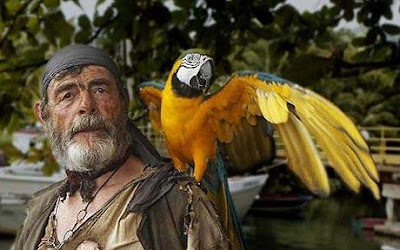 pirate sparrow parrots lieblingsfiguren piraat papegaai watermarked imageshack literal gis piraten funnyanimals7 potc