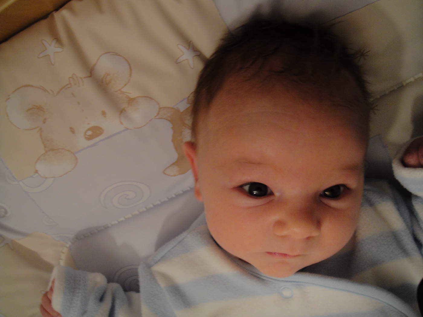 [DSC08048_resize.JPG]