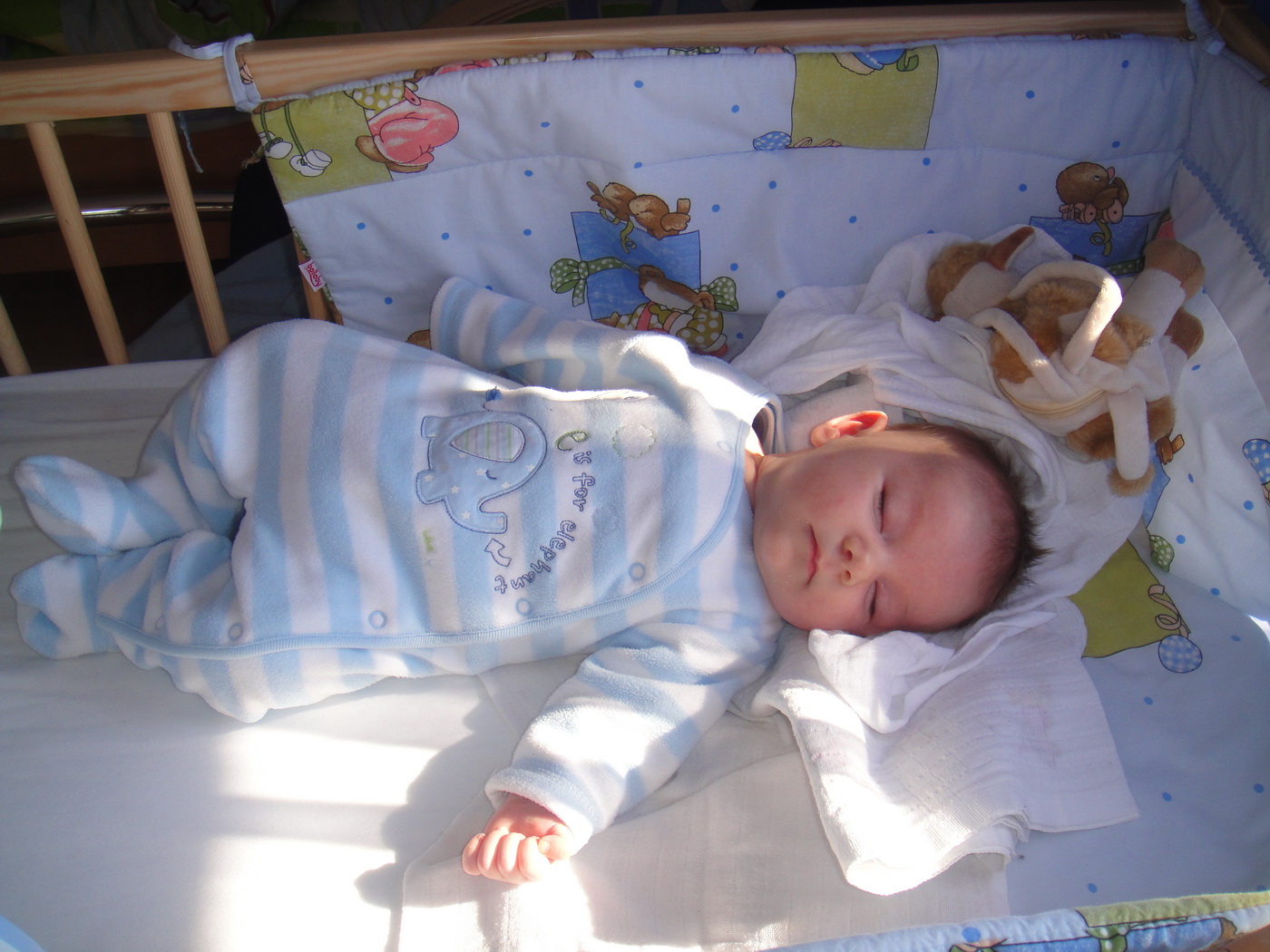 [DSC08631_resize.JPG]