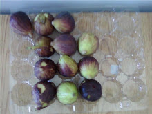Figs at work