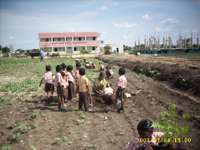 Children Planting