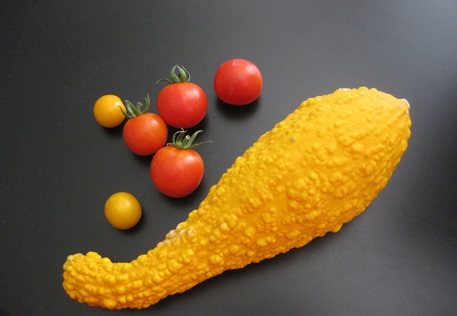 LIFE is What You Make it Bumpy Squash?