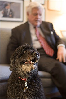 Sen. Kennedy and dog