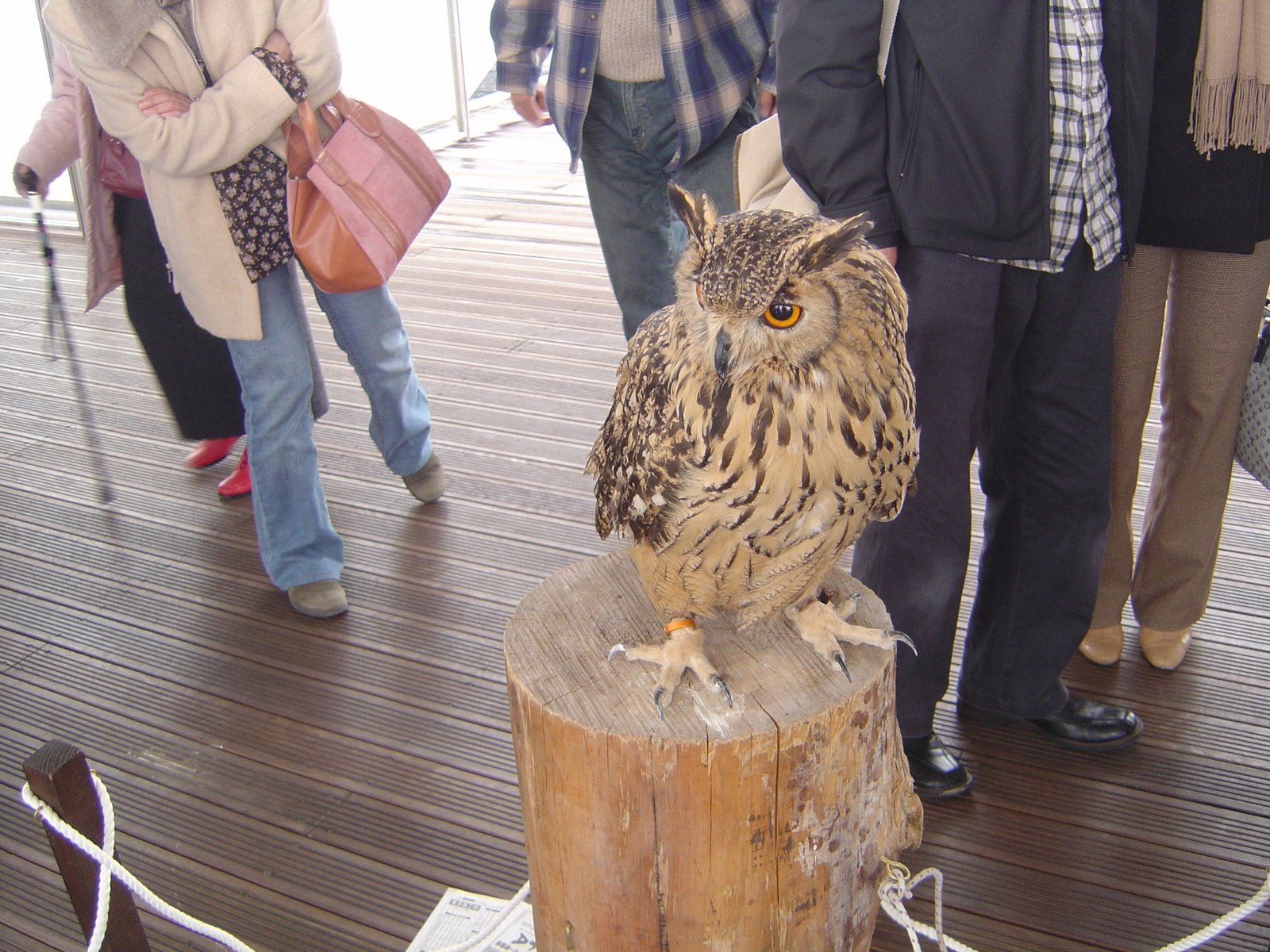 [DSC02474.JPG]