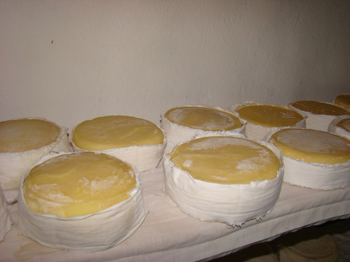 [DSC06138.jpg]
