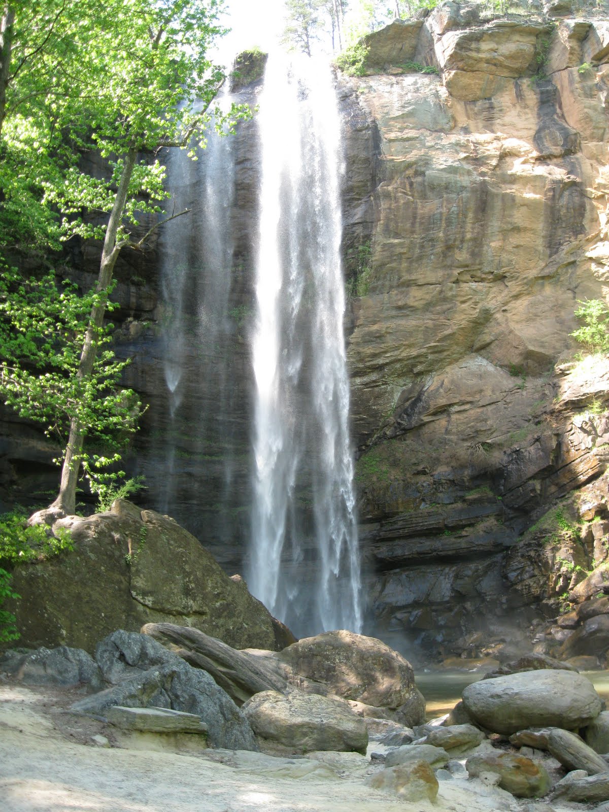 Little House in Forest Acres Toccoa Falls