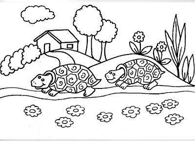 Dibujos De Tortugas Para Colorear E Imprimir Imagui