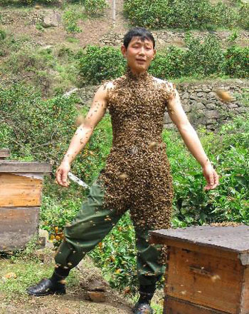 Weird Bee