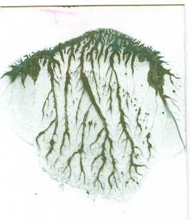 The Daily Painted Egg 2007