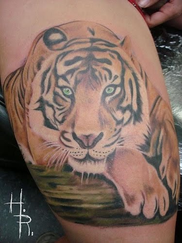 Tiger Tattoo Design Within the Asian countries the tiger has usually been a