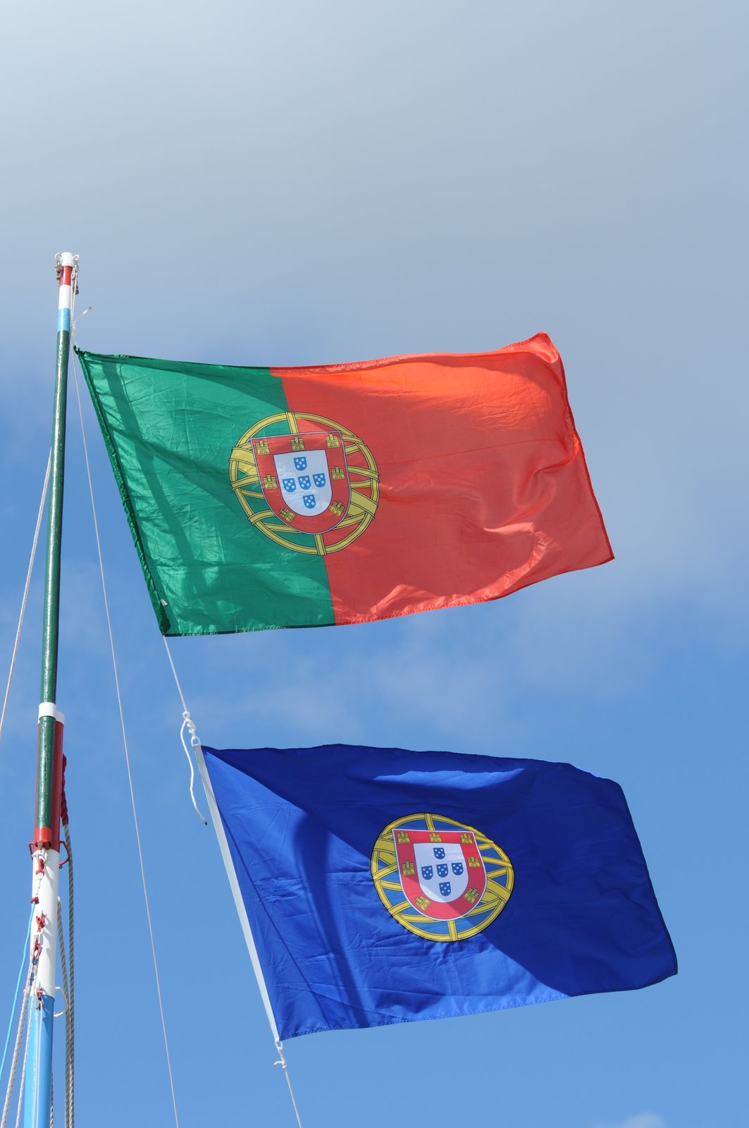 [DSC_2949.JPG]