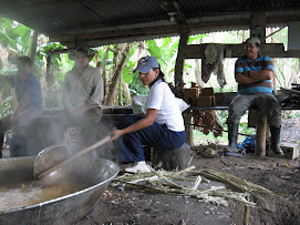 Experiencia Rural