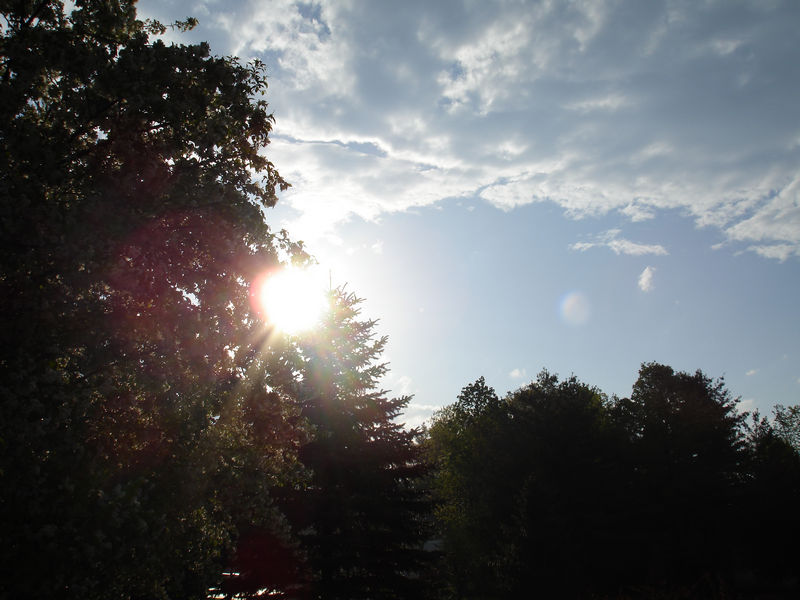 [Maria+Conover2.jpg]