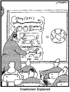 Gary Larson Sheep