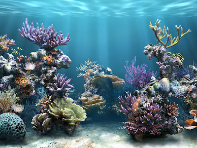 beautiful fishes wallpaper. eautiful fishes wallpaper.