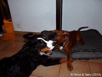 Rencontre bovary