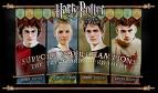 I Suport Turnament Triwizard