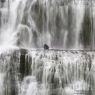 Iceland Waterfall Rock Wallpaper