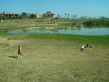 Feeding the ducks at the park