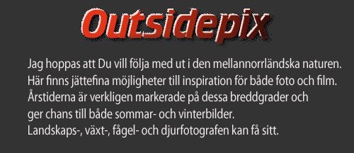 Bilder från skog och mark