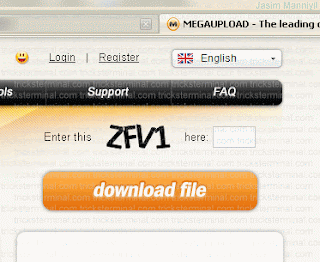 Razones por la que Megaupload cambio Razones por la que Megaupload cambio