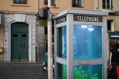[phonebooth_aquarium.jpg]