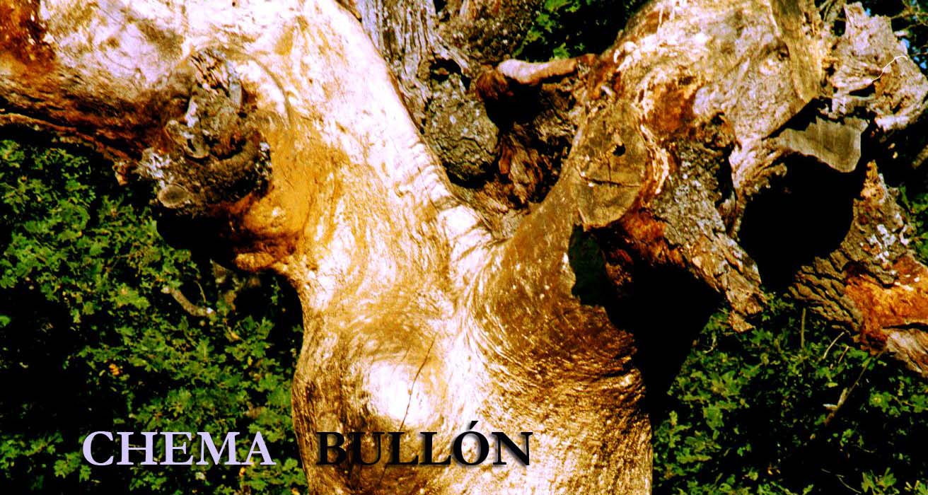 CHEMA BULLON