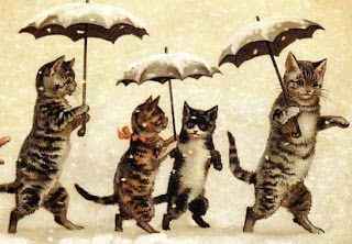 Schizo Cat