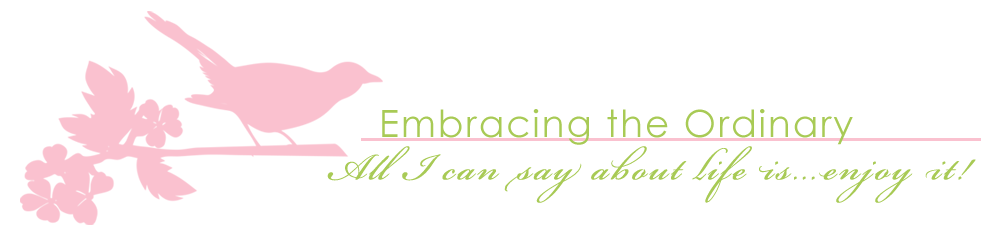 Embracing the Ordinary