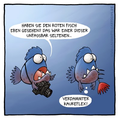 LACHHAFT - Cartoons von Michael Mantel - Wöchentlich neue ...